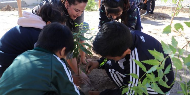 DESARROLLA SALUD ESTATAL JORNADAS DE VACUNACIÓN CONTRA INFLUENZA EN INMEDIACIONES DE SUPERMERCADOS