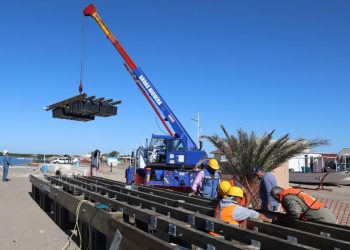 DISMINUYE SIGNIFICATIVAMENTE PRESENCIA DE MOSCA DE LA FRUTA EN ZONA SUR DE LA ENTIDAD