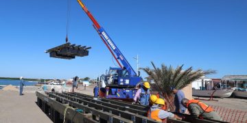 DISMINUYE SIGNIFICATIVAMENTE PRESENCIA DE MOSCA DE LA FRUTA EN ZONA SUR DE LA ENTIDAD