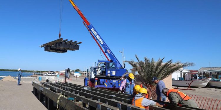 DISMINUYE SIGNIFICATIVAMENTE PRESENCIA DE MOSCA DE LA FRUTA EN ZONA SUR DE LA ENTIDAD