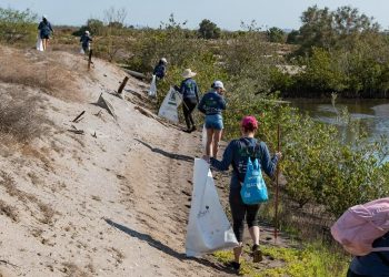 INCREMENTA PARTICIPACIÓN EN ACTIVIDADES DE DIVULGACIÓN AMBIENTAL