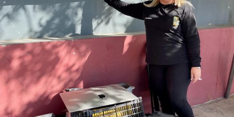 GOBIERNO DE LOS CABOS INSTALÓ CENTROS DE ACOPIO COMO PARTE DEL PROGRAMA PERMANENTE “ YO RECICLO CON SERVICIOS PÚBLICOS “