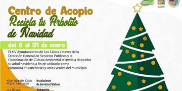 HABILITA GOBIERNO DE LOS CABOS CENTROS DE ACOPIO PARA RECICLAR ARBOLITOS NAVIDEÑOS