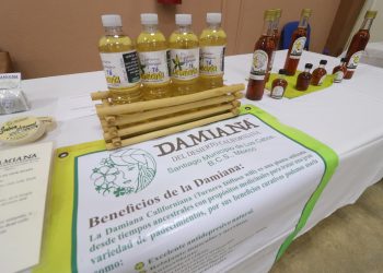 LA MEDICINA TRADICIONAL A TRAVÉS DE LA FLORA NATIVA