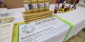 LA MEDICINA TRADICIONAL A TRAVÉS DE LA FLORA NATIVA