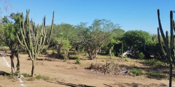 ABCdario Por Victor Octavio García