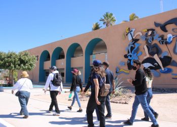 UABCS PUBLICARA SU CONVOCATORIA DE SELECCIÓN A NUEVO INGRESO A FINALES DEL MES DE MARZO