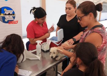 EL HOSPITAL VETERINARIO DE LA UABCS FORTALECERÁ SUS SERVICIOS PARA ESTE AÑO