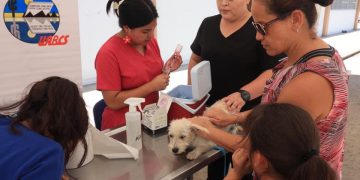 EL HOSPITAL VETERINARIO DE LA UABCS FORTALECERÁ SUS SERVICIOS PARA ESTE AÑO