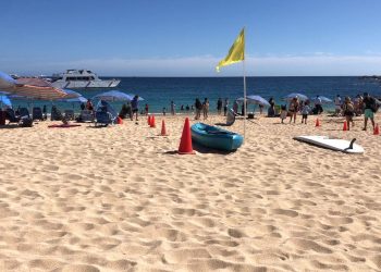 EN 2023 SE CONSOLIDÓ LOS CABOS COMO UNO DE LOS DESTINOS TURÍSTICOS CON PLAYAS DE EXCELENCIA Y SUSTENTABLE:ZOFEMAT LOS CABOS