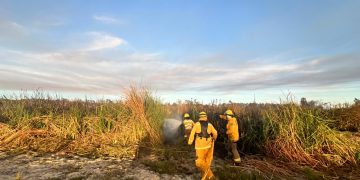OPORTUNA RESPUESTA DEL GOBIERNO DE LOS CABOS EN EL INCENDIO QUE ABARCÓ PARTE DEL ESTERO JOSEFINO