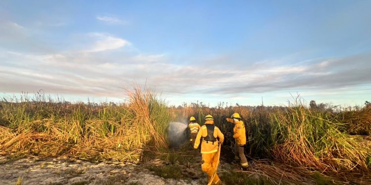 OPORTUNA RESPUESTA DEL GOBIERNO DE LOS CABOS EN EL INCENDIO QUE ABARCÓ PARTE DEL ESTERO JOSEFINO