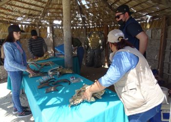 UABCS Y CONANP PROMUEVEN PRÁCTICAS AGRÍCOLAS SUSTENTABLES EN LA RESERVA DE LA BIOSFERA “EL VIZCAINO”