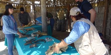 UABCS Y CONANP PROMUEVEN PRÁCTICAS AGRÍCOLAS SUSTENTABLES EN LA RESERVA DE LA BIOSFERA “EL VIZCAINO”