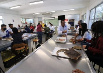 UABCS INVITA A ESCUELAS PRIMARIAS A FORMAR PARTE DE SU SEMANA DE ACERCAMIENTO A LA CIENCIA