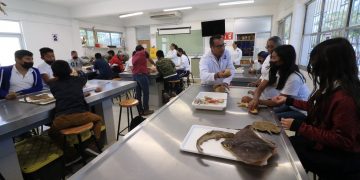 UABCS INVITA A ESCUELAS PRIMARIAS A FORMAR PARTE DE SU SEMANA DE ACERCAMIENTO A LA CIENCIA