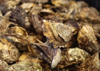 OBTIENE SEP RESULTADOS POSITIVOS DE LA PRIMERA EVALUACIÓN DIAGNÓSTICA DEL CICLO