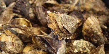 OBTIENE SEP RESULTADOS POSITIVOS DE LA PRIMERA EVALUACIÓN DIAGNÓSTICA DEL CICLO