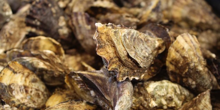 OBTIENE SEP RESULTADOS POSITIVOS DE LA PRIMERA EVALUACIÓN DIAGNÓSTICA DEL CICLO