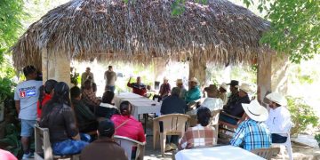 DISMINUYE SIGNIFICATIVAMENTE PRESENCIA DE MOSCA DE LA FRUTA EN ZONA SUR DE LA ENTIDAD
