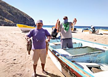 VAMOS POR ELECTRIFICACIÓN EN COMUNIDADES DE BCS: VMCC