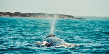 ABIERTAS LAS INSCRIPCIONES PARA EL DIPLOMADO DE ACTUACIÓN EN LA EESART