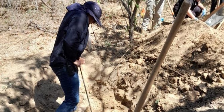 EN ATENCIÓN A DENUNCIA ANÓNIMA CIUDADANA LOCALIZAN INHUMACIÓN CLANDESTINA Y RESTOS HUMANOS EN LOS CABOS