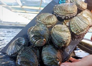 SOMOS UN GOBIERNO DE COMPROMISO CON EL PUEBLO: VMCC