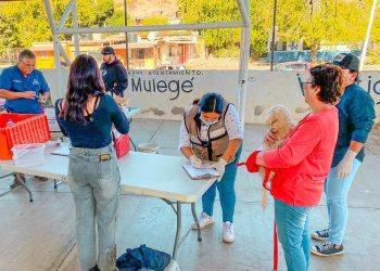 ARRANCA CAMPAÑA DE ESTERILIZACIÓN CANINA Y FELINA EN SANTA ROSALÍA