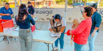 ARRANCA CAMPAÑA DE ESTERILIZACIÓN CANINA Y FELINA EN SANTA ROSALÍA