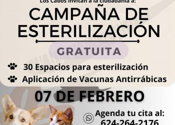 DIRECCIÓN MUNICIPAL DE SALUD HARA MAÑANA CAMPAÑA DE ESTERILIZACIÓN CANINA Y FELINA EN LOS CABOS