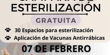 DIRECCIÓN MUNICIPAL DE SALUD HARA MAÑANA CAMPAÑA DE ESTERILIZACIÓN CANINA Y FELINA EN LOS CABOS