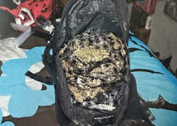 POR POSESIÓN DE NARCÓTICOS, ARMAS DE FUEGO Y CARTUCHOS FGR OBTIENE VINCULACIÓN A PROCESO CONTRA UNA PERSONA EN BCS