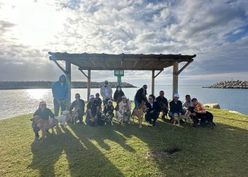 PRO-ANIMAL LOS CABOS DIO ARRANQUE A LA INICIATIVA “PASEA UNA MASCOTA RESCATADA “