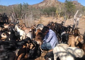 ABCdario  Por Víctor Octavio García