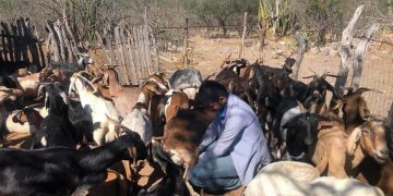 ABCdario  Por Víctor Octavio García