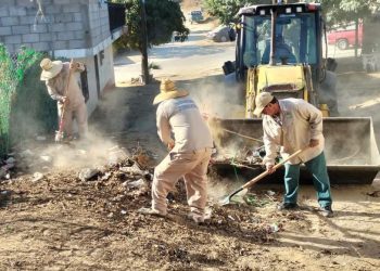 REALIZA SERVICIOS PÚBLICOS DE LOS CABOS JORNADAS DE LIMPIEZA PARA PREVENIR LA PROLIFERACIÓN DEL MOSCO TRANSMISOR DEL DENGUE