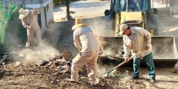 REALIZA SERVICIOS PÚBLICOS DE LOS CABOS JORNADAS DE LIMPIEZA PARA PREVENIR LA PROLIFERACIÓN DEL MOSCO TRANSMISOR DEL DENGUE