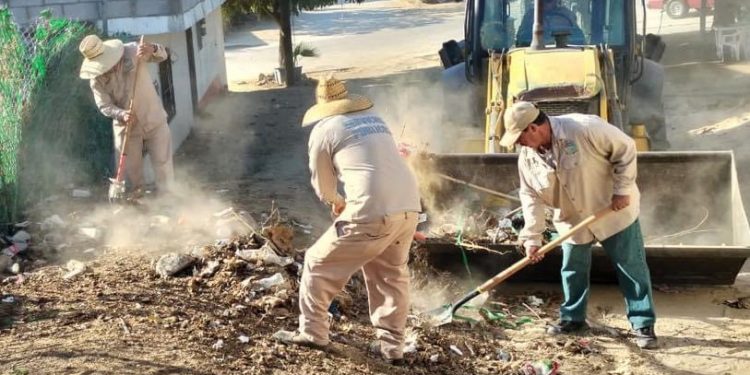 REALIZA SERVICIOS PÚBLICOS DE LOS CABOS JORNADAS DE LIMPIEZA PARA PREVENIR LA PROLIFERACIÓN DEL MOSCO TRANSMISOR DEL DENGUE