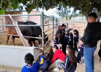 UABCS REANUDA VISITAS GUIADAS A SU POSTA ZOOTÉCNICA
