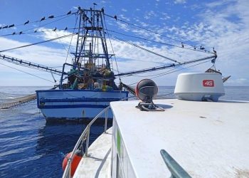 CONCLUYE VEDA DE ABULÓN EN LA ZONA IV DE BCS