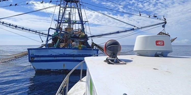 CONCLUYE VEDA DE ABULÓN EN LA ZONA IV DE BCS