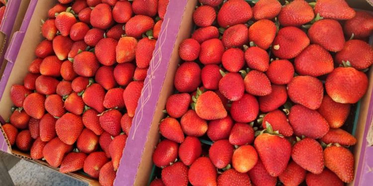 SOSTIENE GOBERNADOR VMCC, ENCUENTRO CON FAMILIAS DE CONQUISTA AGRARIA, EN LA PAZ