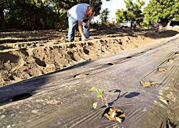 PONE EN MARCHA GOBERNADOR, JORNADA “MARZO, LAS MUJERES Y EL AGUA”