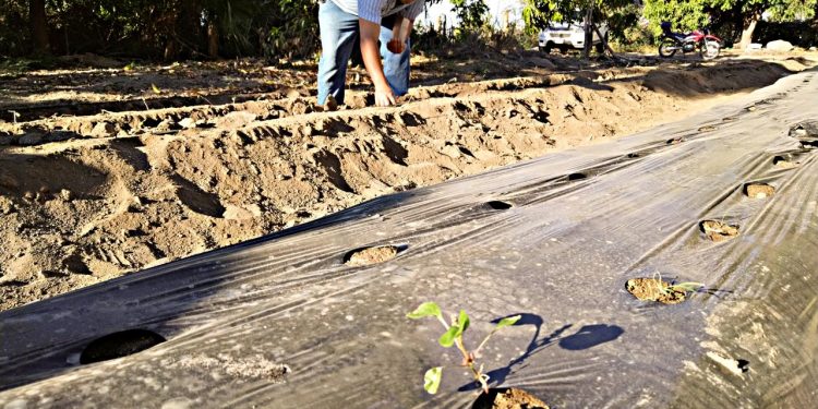 PONE EN MARCHA GOBERNADOR, JORNADA “MARZO, LAS MUJERES Y EL AGUA”