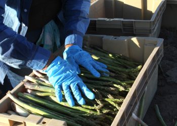 REALIZARÁN PRIMER FESTIVAL INTERNACIONAL DE CINE ENLORETO