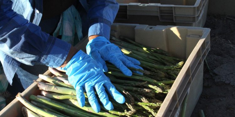 REALIZARÁN PRIMER FESTIVAL INTERNACIONAL DE CINE ENLORETO