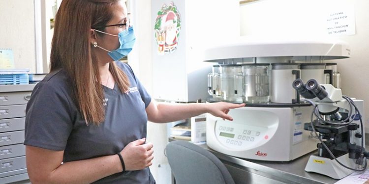 TRABAJA ESTADO Y SOCIEDAD PARA FORTALECER LA CULTURA DE INCLUSIÓN Y RESPETO DE LOS DERECHOS HUMANOS