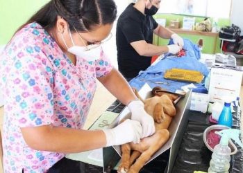 PROMUEVE SEP LA PARTICIPACIÓN DE PROMOTORAS DE LA LECTURA