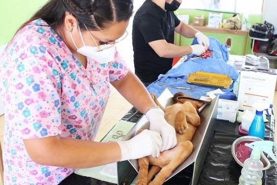 PROMUEVE SEP LA PARTICIPACIÓN DE PROMOTORAS DE LA LECTURA
